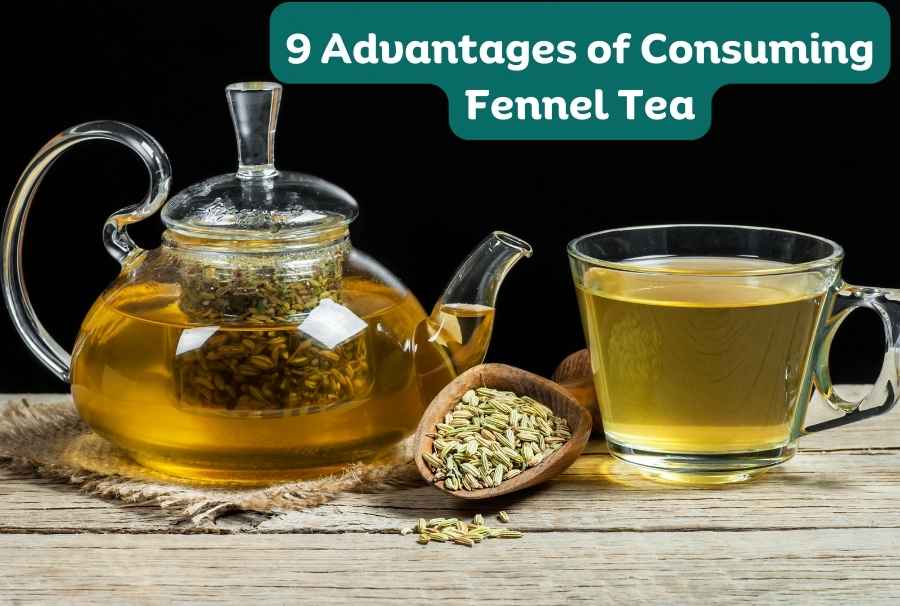 9 Advantages of Consuming Fennel Tea